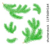 fir branches.  set of christmas ... | Shutterstock .eps vector #1193684164