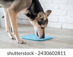 Small photo of cute mixed breed dog using lick mat for eating food slowly. snack mat, licking mat for cats and dogs