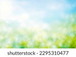 Small photo of Summer background of blue and green, blurred foilage and sky with bright bokeh. Blurry abstract summer background. Natural green leaves using as cover page greenery environment ecology background