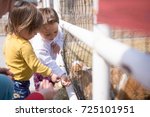 Two young, caucasian, children feeding baby goat through fence
