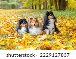 Autumn Portrait Of Four Cute...
