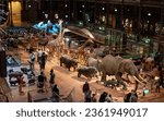 Small photo of Paris, FRANCE - August 30, 2023: Parade of African mammals in the Grand Gallery of Evolution in the National Museum of Natural History in Paris.