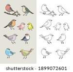 coloring book page for... | Shutterstock .eps vector #1899072601