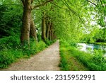 Small photo of Row of trees along a towpath on the Canal of the Loing in Nemours, a small town in the south of the Seine et Marne department in Paris region, France