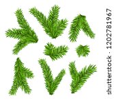 set of fir branches. christmas... | Shutterstock .eps vector #1202781967