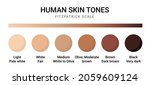 skin tone color scale chart.... | Shutterstock .eps vector #2059609124