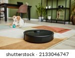 Close up of robot vacuum cleaner on carpet in modern home interior, smart appliances concept