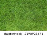 Perfectly trimmed green grass lawn texture, background, top view.