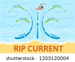 How To Escape Rip Current....