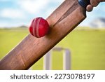 Small photo of Cricket batsman hitting a ball with stumps on cricket pitch