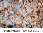 Background Of Dried Grapes