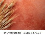 Small photo of Sheaf of barley, Hordeum vulgare, on an orange textured background. Barley is grown primarily as animal fodder and as a source of malt for alcoholic beverages such as beer and scotch whisky.