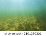 Small photo of Natural underwater seascape, sand on the sea floor and water surface with sunlight. Lot of fsh.