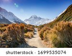 Spectacular view of Aoraki Mount Cook from the Hooker Valley hiking trail. Deep blue sky background, white snow covered mountain and colourful scrub vegetation in the foreground