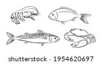 Seafood black and white outline. Vector illustration of dorado, shrimp, crab and mackerel. Set of Fish and crustacean. 