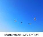 A Flock Of Flying Seagull With...