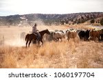 A lone cowboy is moving a small herd of cattle to a greener pasture, near Hatch, UT.