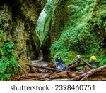 Small photo of Columbia River Gorge, Oregon - 2-3-2009: a group of hikers climbing over a log pile in the Oneonta Gorge in the Coolumbia River Gorge National Scenic Area.