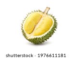 Durian Fruit Cut In Half ...