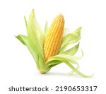 Fresh corn isolated on white background. Clipping path.