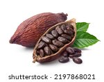Small photo of Cocoa beans with cocoa pod isolated on white background. Clipping path.