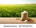 White rice and paddy rice with rice plant background.