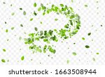 green leaves vector wallpaper.... | Shutterstock .eps vector #1663508944