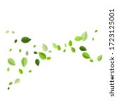 green foliage swirl vector... | Shutterstock .eps vector #1723125001
