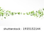 green greenery blur vector... | Shutterstock .eps vector #1935152144