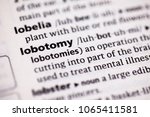 Small photo of Close up to the dictionary definition of Lobotomy