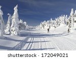 Winter landscape with a modified cross-country ski trails in Jeseniky mountains, Czech Republic.