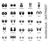 Set Of Traces Of Animals And...