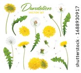 Realistic Dandelions Set With...