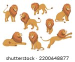 lion flat cartoon set with...