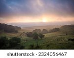 Nature landscape of mountain hills - sunrise fog over trees and pasture