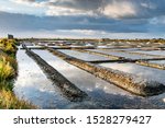 Salt Marshes On The Island Of...