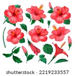 Floral Red Hibiscus Design Set...