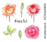 ink  pencil  watercolor roses... | Shutterstock .eps vector #1076564804