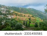 Step agriculture, or terrace agriculture. Steep hills or mountainsides are cut to form level areas for planting of crops. Foggy, misty Himalayan mountains background, Garhwal, Uttarakhand, India.
