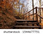 Stairs In The Forest With...