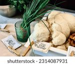 Small photo of Petaluma, California, USA - May 25th, 2023: Closeups of large Lion’s Mane mushrooms.