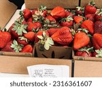 Small photo of Petaluma, California, USA - May 25th, 2023:Strawberry Albion strawberries for sale at a local farmers market.