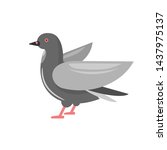 grey dove. bird flying. vector. | Shutterstock .eps vector #1437975137