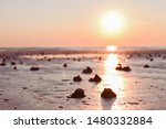 Small photo of Footprints in the sand from hermit crab after a storm. Sea and sand beeg at sunset. Sunlight and promenade. Free space for text
