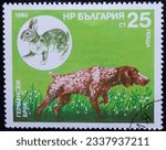Small photo of A postage stamp printed in Bulgaria in 1985 from a series about hunting dogs. Dog breed german brack and hare. Bulgaria 1985.