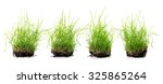 Clump Of Grass Set Isolated On...
