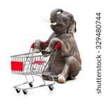 Cute Baby Elephant And Shopping ...