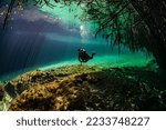 Small photo of cave diver instructor leading a group of divers in a mexican cenote underwater