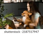 Small photo of Freelancer girl with laptop making selfie making selfie with her Corgi dog. Girl have a break at work for making selfie with her domestic pet. Lifestyle of Welsh Corgi Pembroke pet