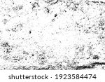 vector grunge black and white... | Shutterstock .eps vector #1923584474